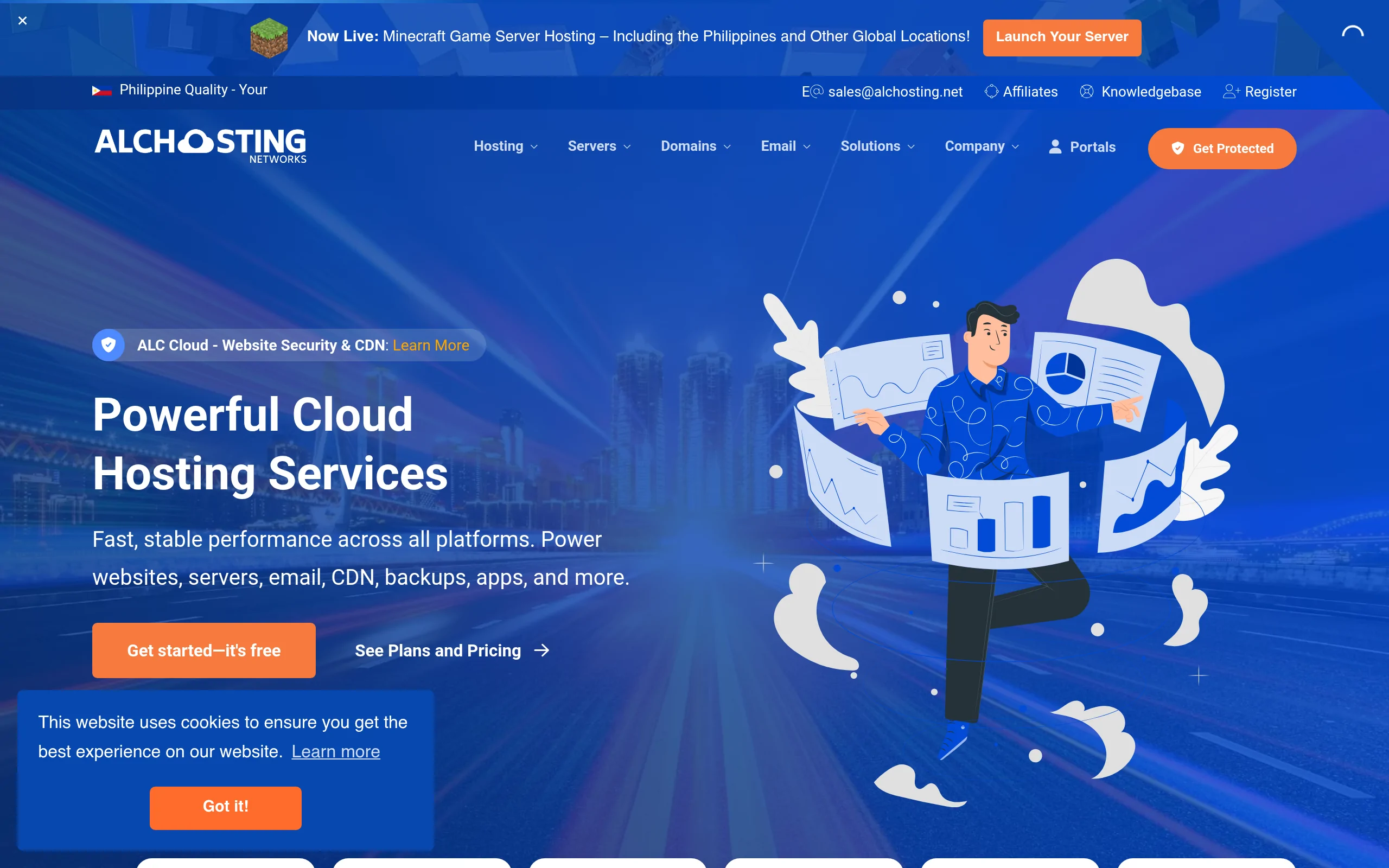 ALC Hosting Networks Interface