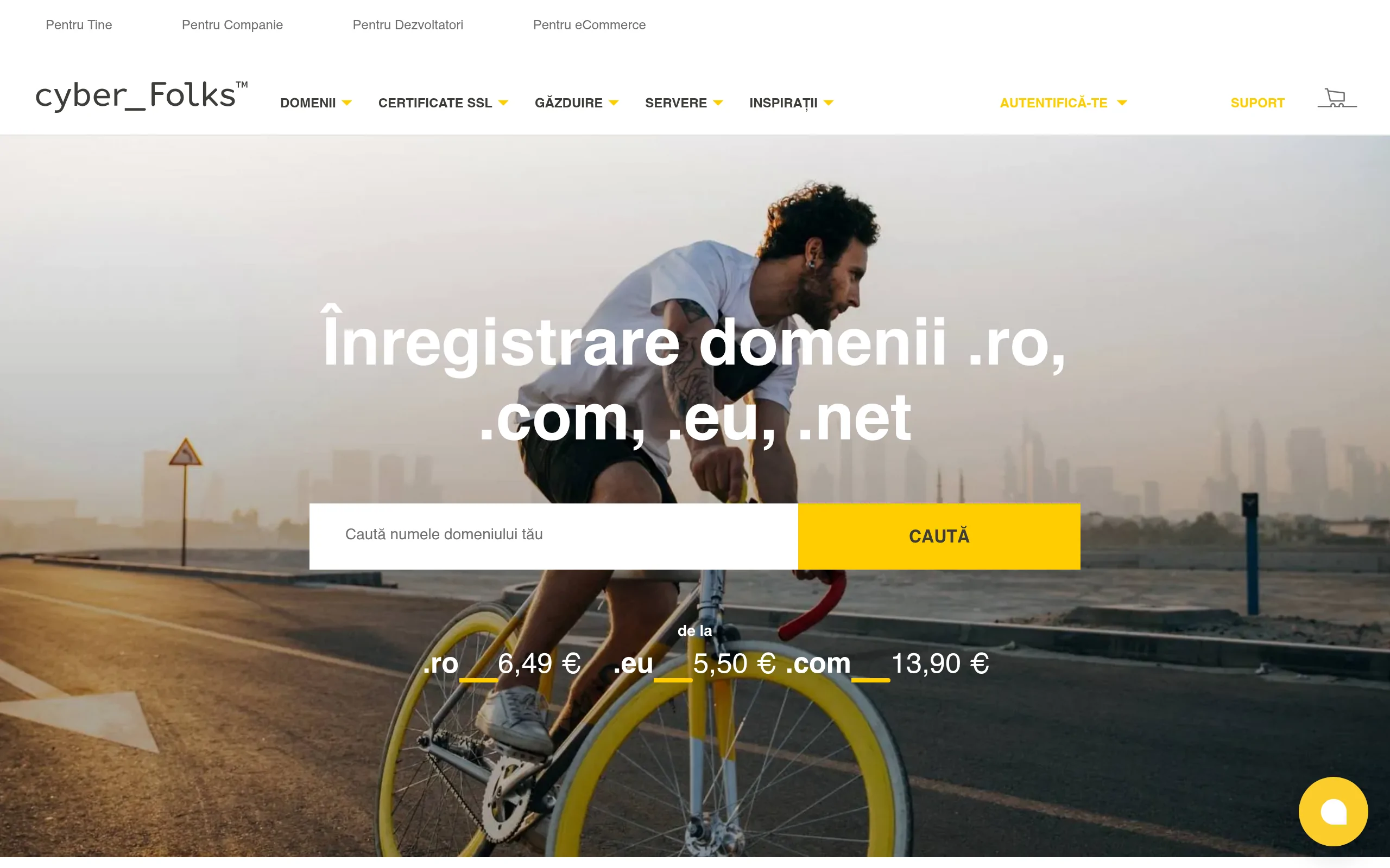 Gazduire Web SRL Interface