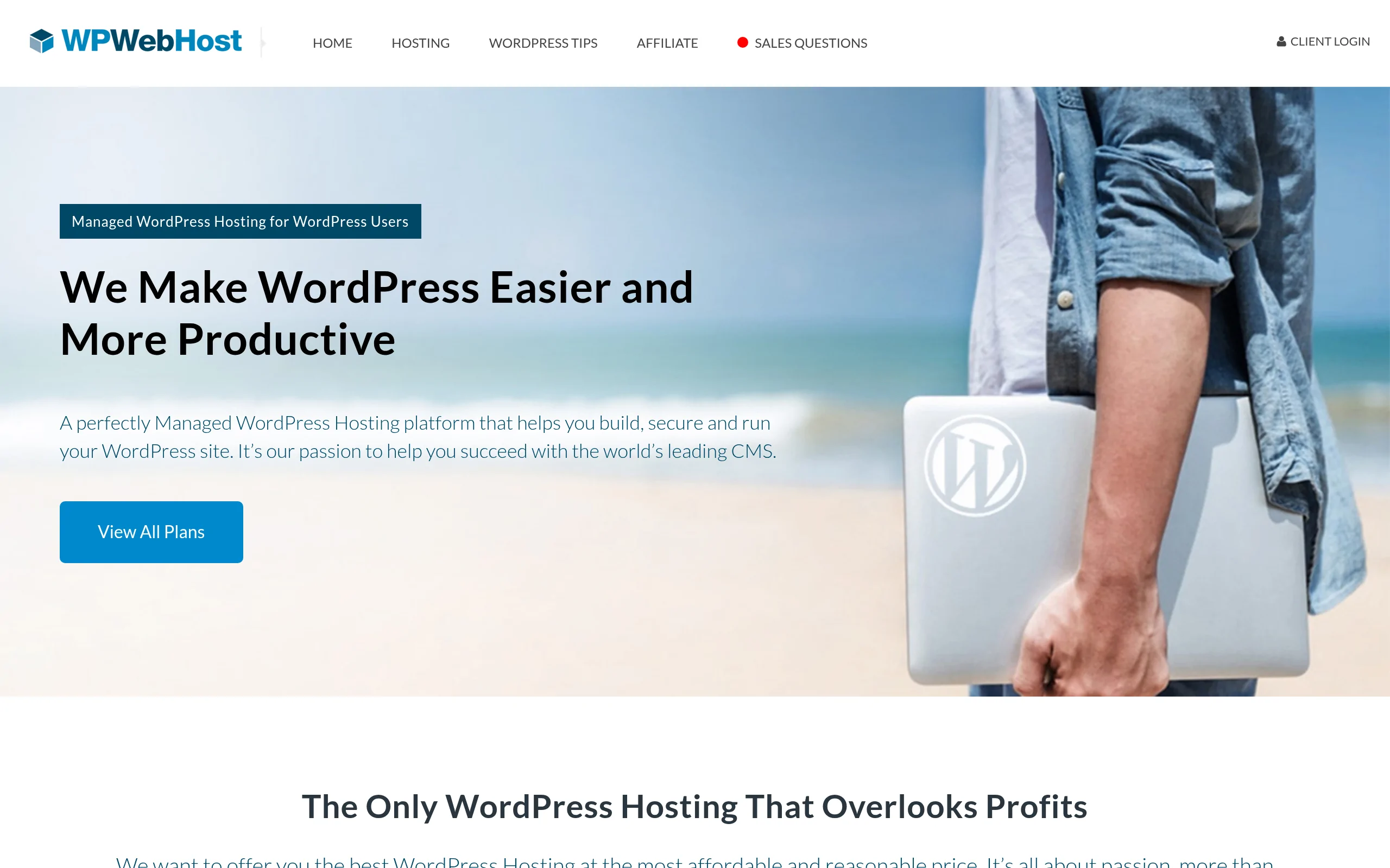 WPWebHost Interface